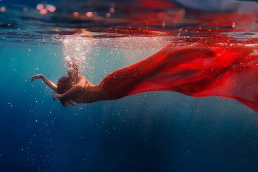 Underwater Dance. Red Tail (Vũ điệu dưới nước. Đuôi đỏ) 