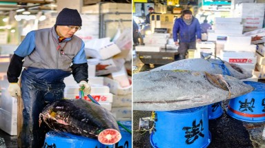  Chợ cá lớn nhất thế giới ở Nhật Bản - nơi bán những con cá triệu USD