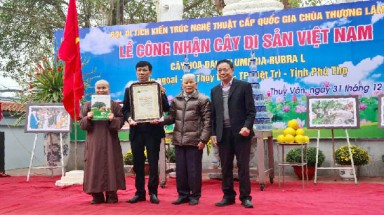  Những cây đại thụ gần kinh đô Văn Lang được vinh danh Cây Di sản Việt Nam