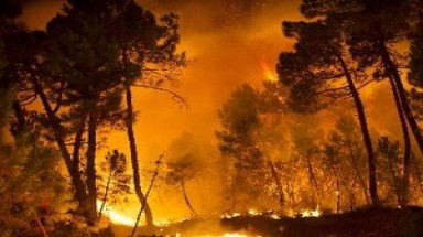    Australia: Cháy rừng làm hàng nghìn người sơ tán