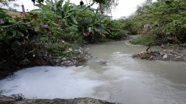  Công ty giấy Vĩnh Huê xả thẳng nước thải ra suối Nhum