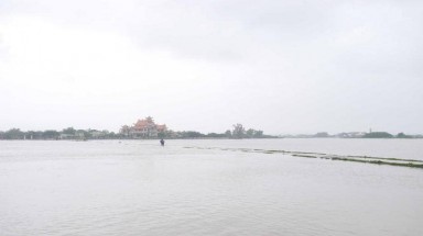 Bình Định mưa lớn, hơn 11.300 ha lúa mới gieo sạ bị ngập úng