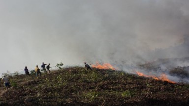   Đắk Lắk chủ động phòng chống cháy rừng mùa khô 
