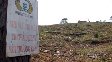  Lâm Đồng: Dự án phá nát rừng