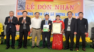  Cây Dã hương thứ 4 của Bắc Giang được vinh danh là Cây Di sản Việt Nam