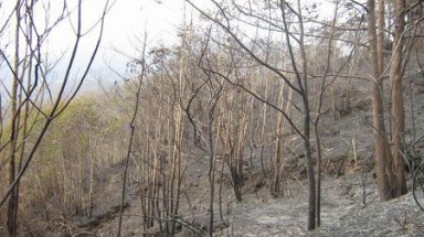  Nguy cơ cháy rừng cực kỳ nguy hiểm 