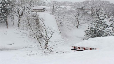   53 người chết do tuyết rơi  ở Nhật