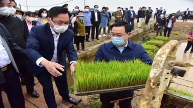  Bí thư và Chủ tịch TP Hà Nội xuống đồng cấy lúa, động viên nông dân