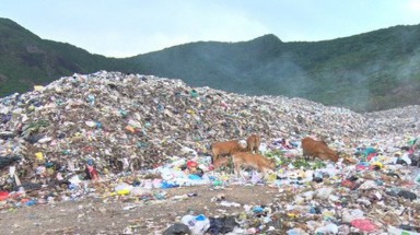  Bà Rịa-Vũng Tàu: Đưa rác thải từ Côn Đảo về đất liền xử lý
