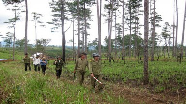  Lâm Đồng tăng cường quản lý bảo vệ rừng trong mùa khô