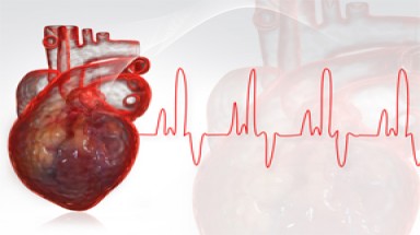  Bệnh lý về tim mạch