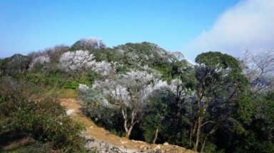  Giữ nét đẹp hoang sơ của  Vườn quốc gia Phia Oắc - Phia Đén