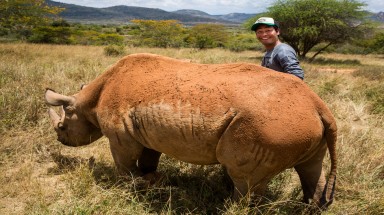  Buồn khi nghe tin cá thể đực cuối cùng của loài tê giác trắng phương Bắc đã chết