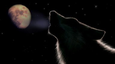  Trăng sói, trăng tuyết, trăng hồng… là trăng gì?