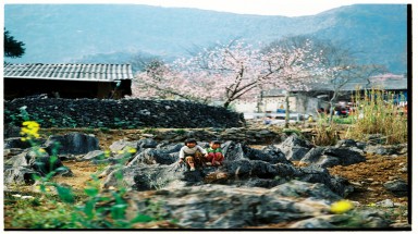  Bộ ảnh phim tuyệt đẹp về cao nguyên đá Hà Giang mùa xuân