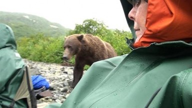  Bị gấu tấn công: Đứng yên và nín thở !