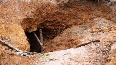  Nhiều đối tượng đào hàng loạt hang sâu bí ẩn trên đất trồng keo của dân tại Bình Định!