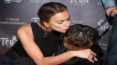  Irina Shayk thể hiện tình yêu thương với động vật