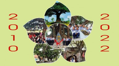  Thêm 207 cây cổ thụ được công nhận đủ tiêu chuẩn Cây Di sản Việt Nam
