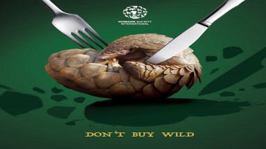  Kêu gọi toàn cầu cấm tiêu thụ động vật hoang dã nguy cấp làm thực phẩm