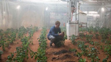 Con người có thể trồng thành công khoai tây trên sao Hỏa