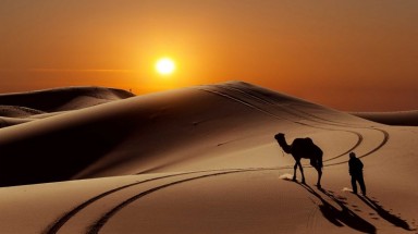 Sa mạc lớn nhất thế giới là đồng cỏ xanh 8.000 năm trước