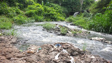  Suối Reo ở Đồng Nai bị ô nhiễm nghiêm trọng