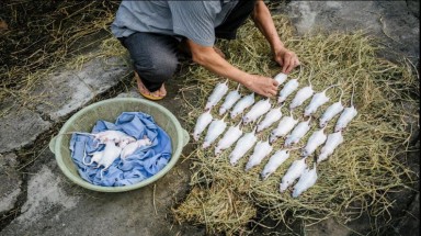  Đặc sản thịt chuột của Việt Nam lên tạp chí National Geographic