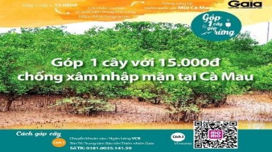  Cà Mau: Xác minh vụ tự ý vận động tiền trồng rừng