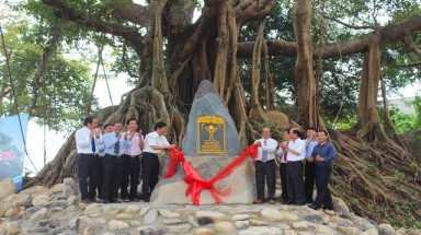  Cả nước đã có gần 2.800 cây cổ thụ được công nhận là Cây Di sản Việt Nam