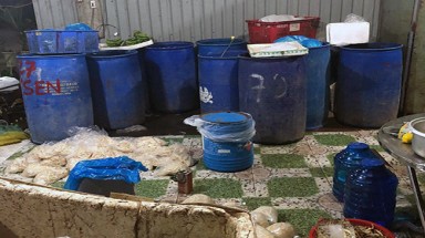  Gần 2 tấn ngó sen, chuối bào ở Sài Gòn bị ngâm chất tẩy trắng