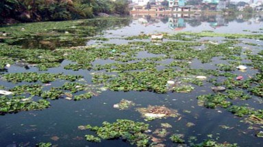   Vĩnh Phúc: Báo động ô nhiễm môi trường ở nhiều con sông 