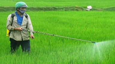  Việt Nam loại khỏi danh mục hoạt chất diệt cỏ gây ung thư