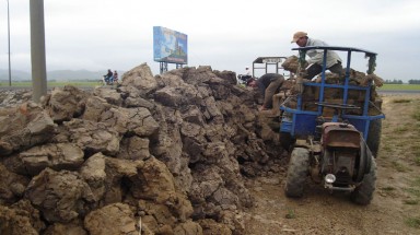  Tin môi trường: Báo động tình trạng khai thác và bán đất mặt ruộng ở Bạc Liêu 