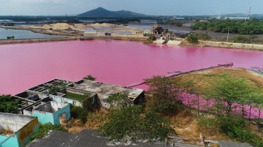  Vụ đầm nước chuyển màu hồng tím ở Bà Rịa - Vũng Tàu: Đề xuất nghiên cứu sâu để khai thác du lịch