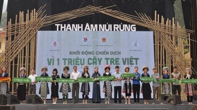  Yên Bái hưởng ứng Chiến dịch “Vì một triệu cây tre Việt”