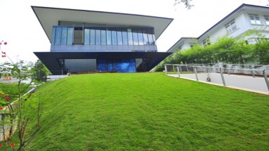  Thảm xanh cho nhà mặt tiền triền dốc