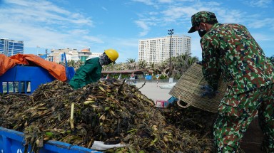  100 tấn rác tràn vào bãi biển Vũng Tàu