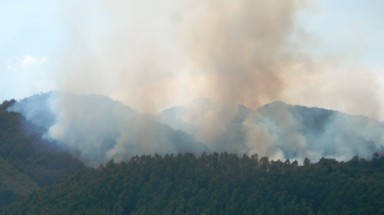  Bình Định: Cháy hơn 3ha rừng trên núi Đá Đen