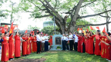  Hai cây cổ thụ ở Sông Lô được vinh danh Cây Di sản Việt Nam vào đúng Ngày Quốc tế lao động
