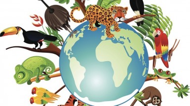  Ngày Quốc tế đa dạng sinh học (22/5): Xây dựng một tương lai chung cho mọi sự sống