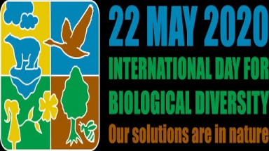 Ngày Quốc tế về Đa dạng sinh học (22/5/2021): "Chúng ta là một phần của giải pháp"