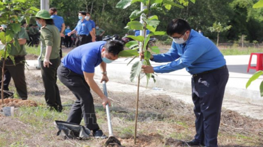  Kỷ niệm 131 năm Ngày sinh Chủ tịch Hồ Chí Minh: Tạo phong trào sâu rộng “Nhà nhà trồng cây, người người trồng cây"