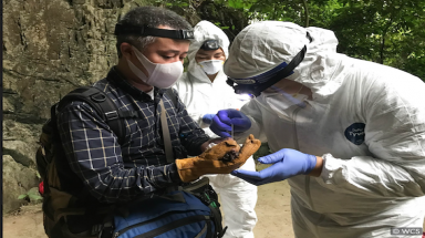  Giám sát sức khỏe động vật hoang dã tại Việt Nam nhằm giám sát và ứng phó hiệu quả với các bệnh dịch mới 