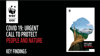  Báo cáo WWF: Rất nhiều dấu hiệu cảnh báo một đại dịch mới xuất hiện