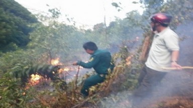  Đà Nẵng: Dập tắt cháy rừng ở Hồ Chùa