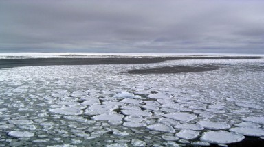  Diện tích băng ở Nam Cực thu hẹp một cách bí ẩn