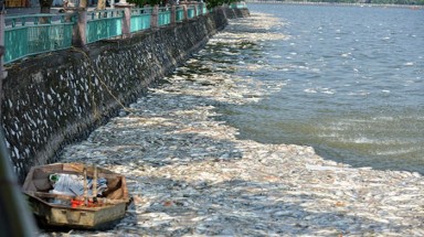  Hà Nội: Lấy mẫu nước để xác định nguyên nhân cá chết nổi tại hồ Tây