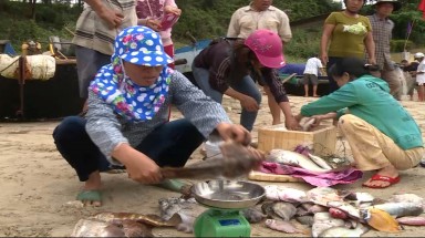  Kết luận ban đầu về nguyên nhân cá chết hàng loạt tại các sông ở huyện Đầm Dơi, Cà Mau