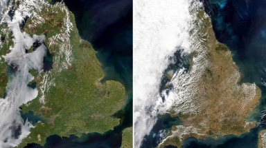  Kinh hoàng tác động của khô hạn trên toàn nước Anh